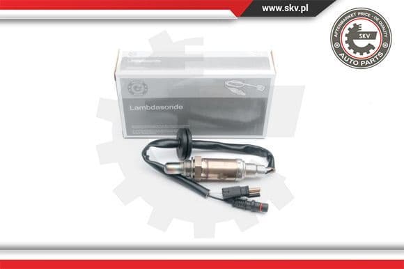 Oxygen Sensor 09SKV548