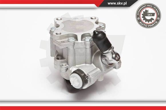 Hydraulic Pump, steering 10SKV015 - image 6