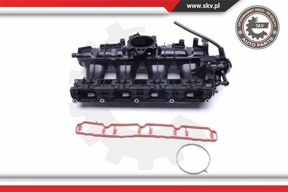 Intake Manifold Module 49SKV010 - image 4