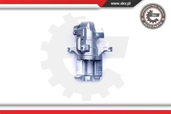 Brake Caliper 42SKV294