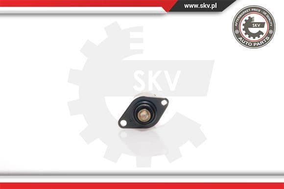 Idle Control Valve, air supply 08SKV004