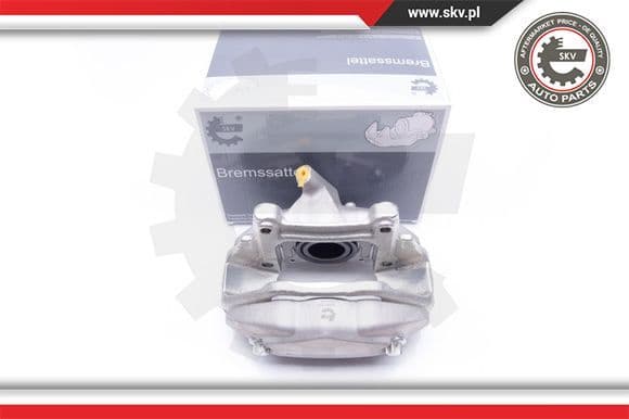 Brake Caliper 42SKV452