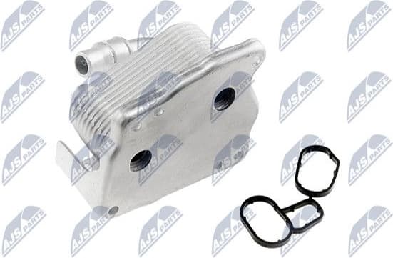 CCL-BM-002 - image 2