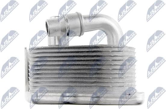 CCL-BM-002 - image 3