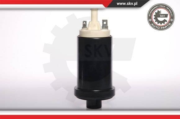 Fuel Pump 02SKV233