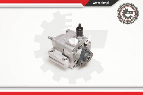 Hydraulic Pump, steering 10SKV109