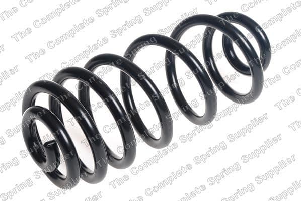 Suspension Spring 4208498