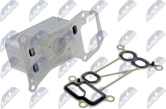 CCL-BM-010 - image 2