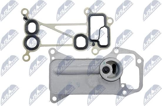 CCL-BM-010 - image 4