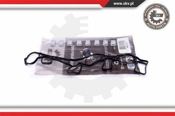 Repair Kit, intake manifold module 49SKV515