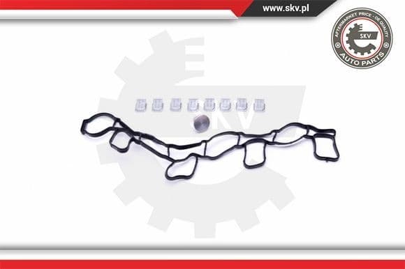 Repair Kit, intake manifold module 49SKV515 - image 2