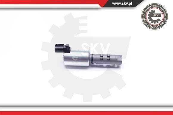Control Valve, camshaft adjustment 39SKV029