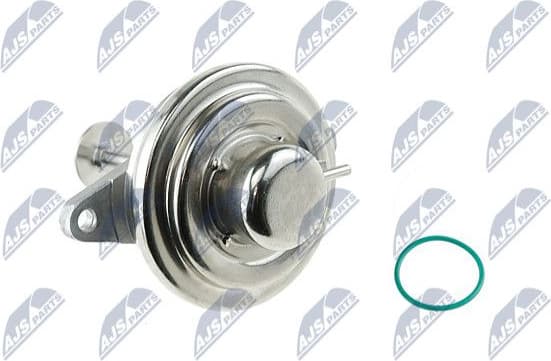 EGR Valve EGR-PL-002