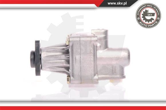 Hydraulic Pump, steering 10SKV011