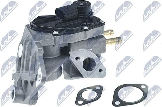 EGR Valve EGR-AU-011