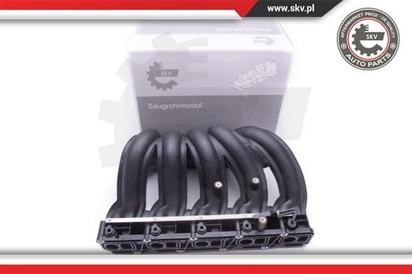 Intake Manifold Module 49SKV012