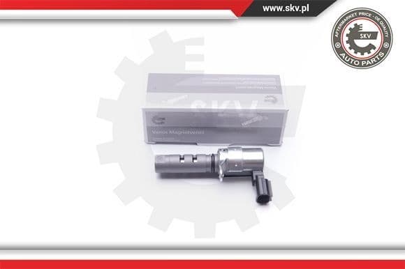 Control Valve, camshaft adjustment 39SKV035