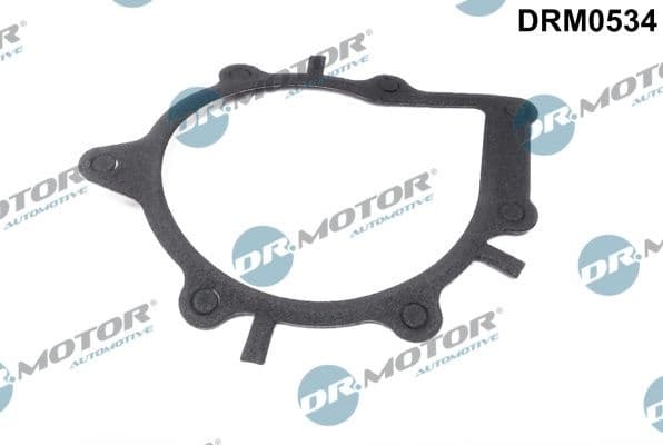 Gasket, water pump DRM0534