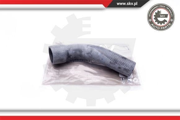 Charge Air Hose 24SKV755