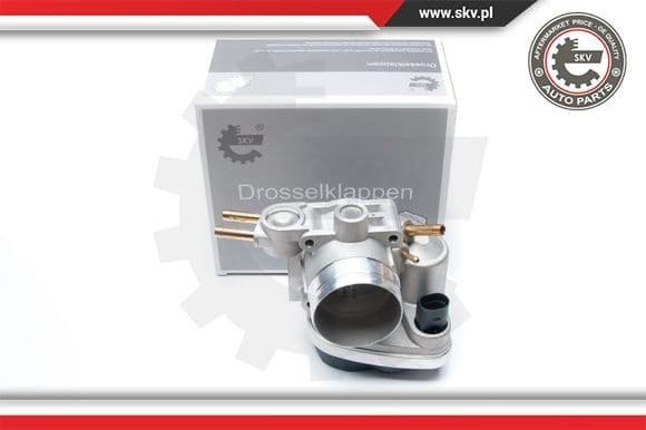 Throttle Body 12SKV048