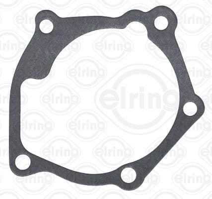 Gasket, water pump 890.120