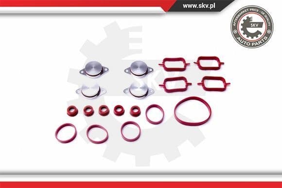 Gasket Set, intake manifold 96SKV053