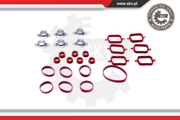 Gasket Set, intake manifold 96SKV052
