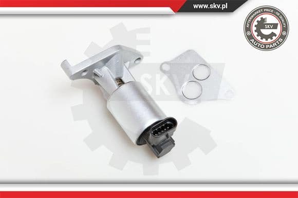 EGR Valve 14SKV013