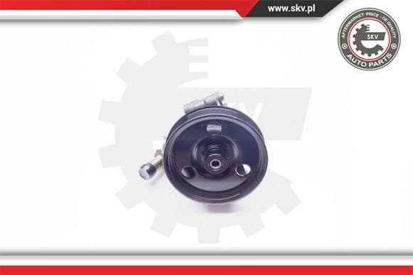 Hydraulic Pump, steering 10SKV114