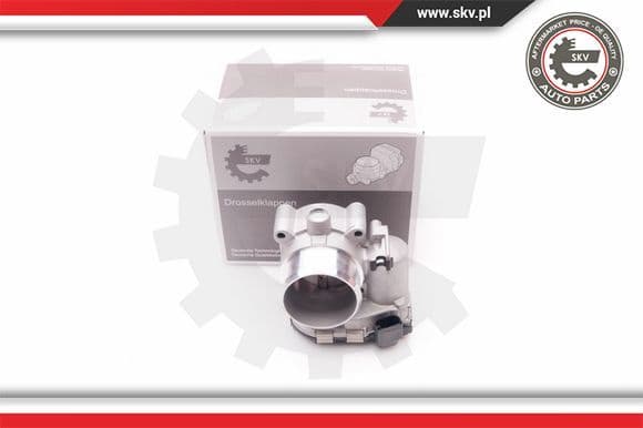 Throttle Body 12SKV065