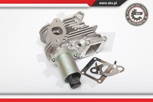 EGR Valve 14SKV036