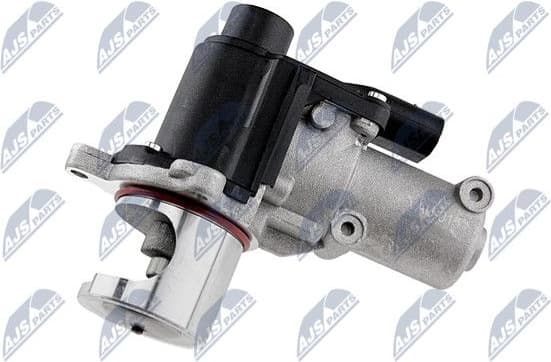 EGR Valve EGR-AU-015