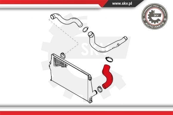Charge Air Hose 24SKV808 - image 4