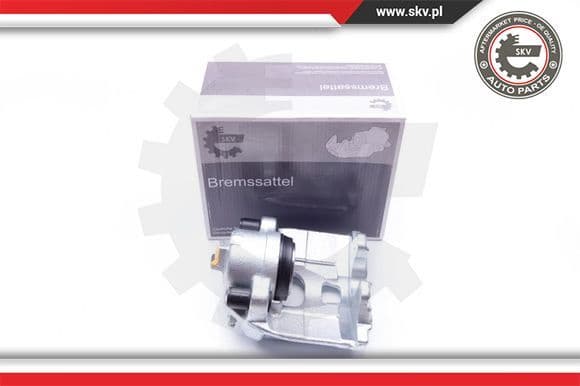 Brake Caliper 42SKV051