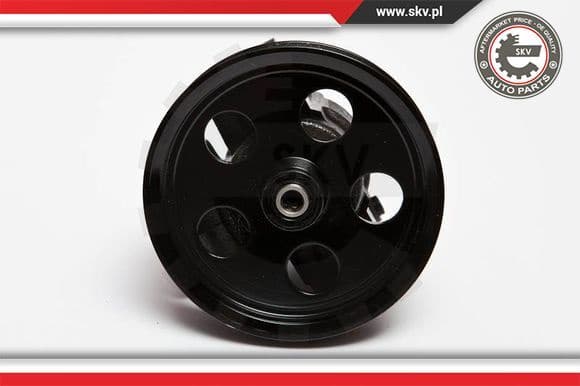 Hydraulic Pump, steering 10SKV067