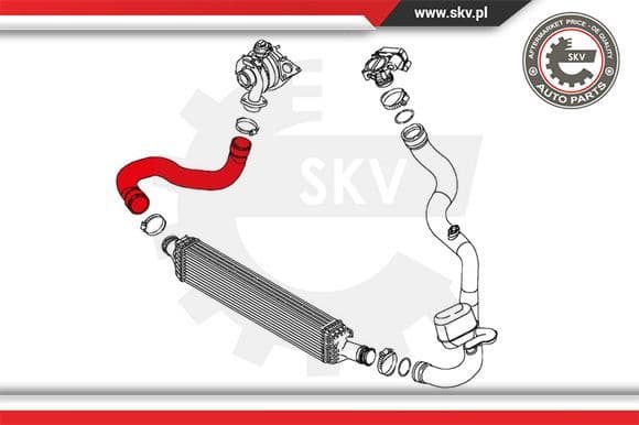 Charge Air Hose 24SKV123 - image 3