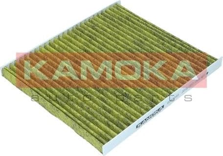 Filter, cabin air 6080098