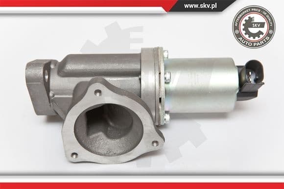 EGR Valve 14SKV054