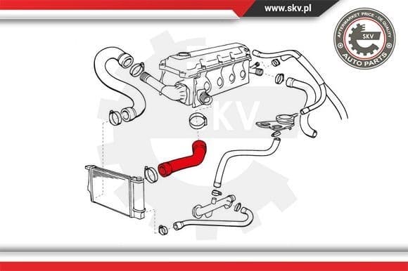 Radiator Hose 43SKV713 - image 4