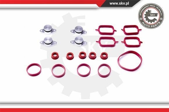 Gasket Set, intake manifold 96SKV054