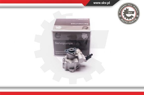 Hydraulic Pump, steering 10SKV030