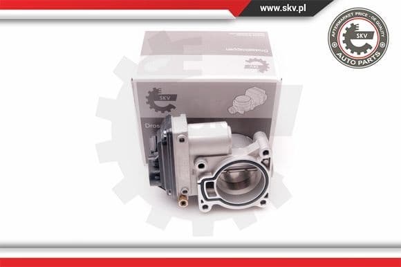Throttle Body 12SKV069