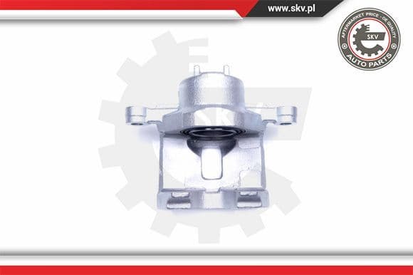Brake Caliper 42SKV902
