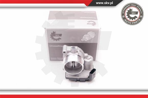 Throttle Body 12SKV059