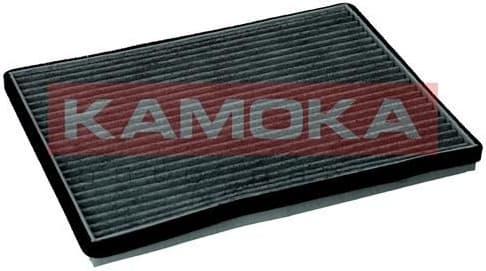 Filter, cabin air F519901 - image 4