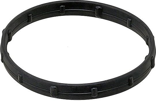 Seal, thermostat 619.630