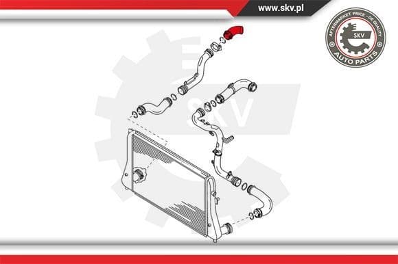 Charge Air Hose 24SKV174