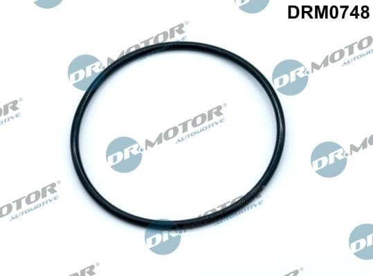 Gasket, vacuum pump DRM0748