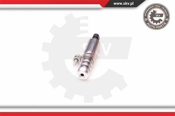 Control Valve, camshaft adjustment 39SKV002