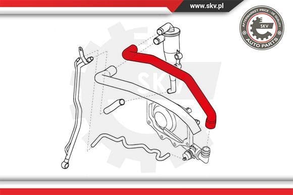 Hose, crankcase ventilation 31SKV134 - image 4